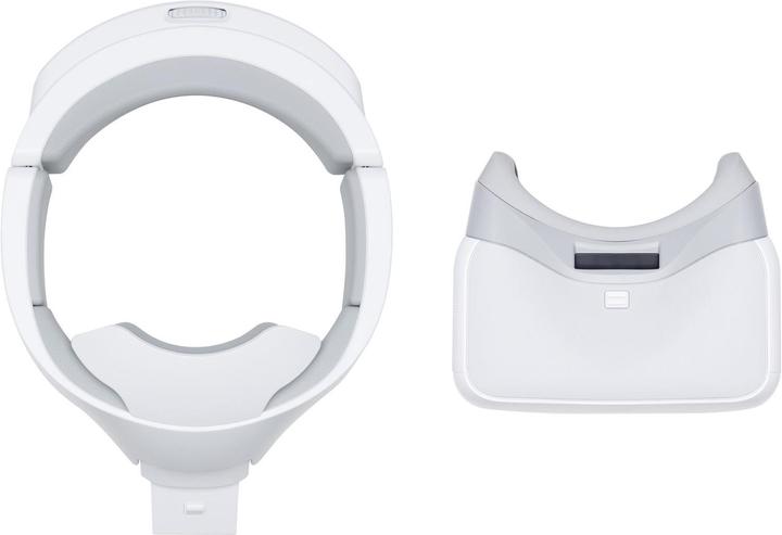 Actual product image DJI Goggles