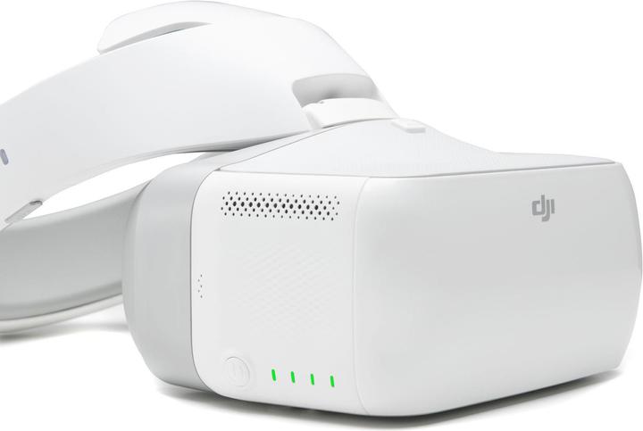Actual product image DJI Goggles