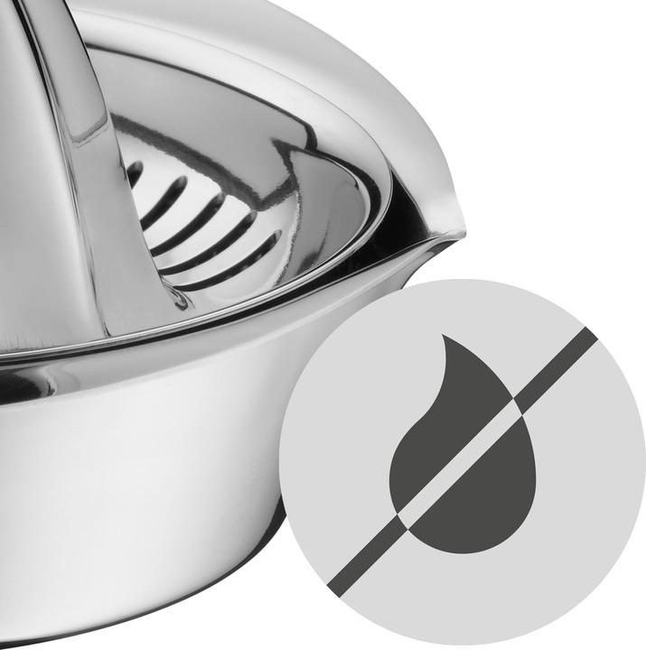 Actual product image WMF Gourmet