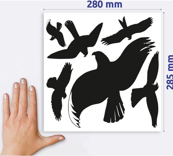 Actual product image Z-Design Window picture warning birds