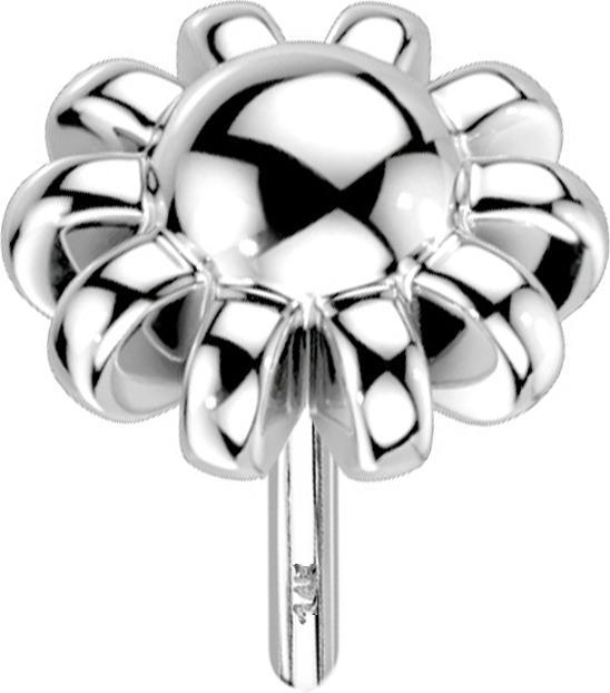 Immagine prodotto Star Piercing Sfera in oro bianco 14k senza fili con bordo a sfera (senza ottone, Oro 14k)