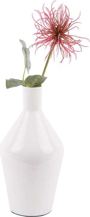 Produktbild present time Ivy (1 x, 22 cm, 3.38 l)