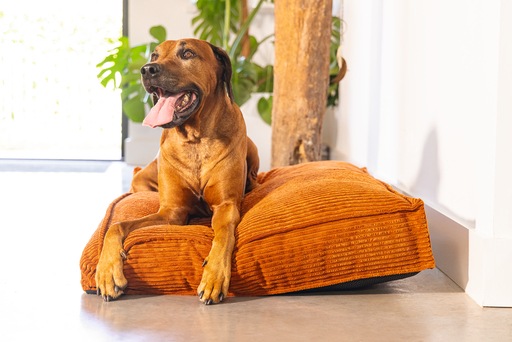 Image du produit Designed by Lotte Coussin de couchage Ribbed (Chien)