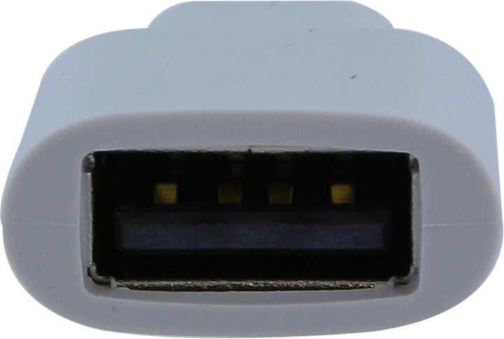 Produktbild Google USB Buchse auf USB-C Stecker OTG Adapter (USB, USB Typ C)