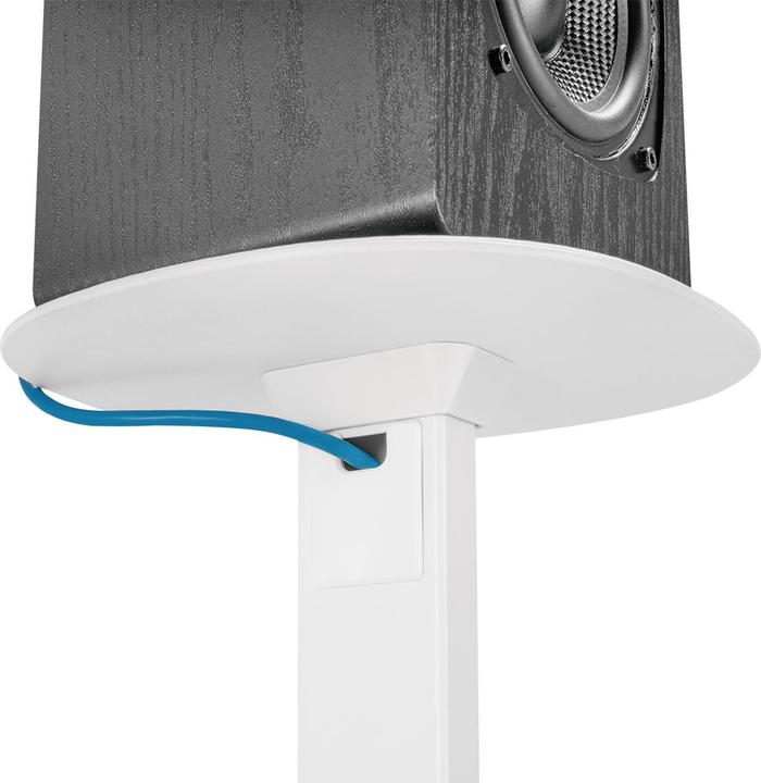 Actual product image myWall HS 23 WL (1 pair, Stand, Height-adjustable)
