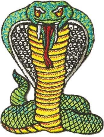 Actual product image Ju-Sports Patch snake