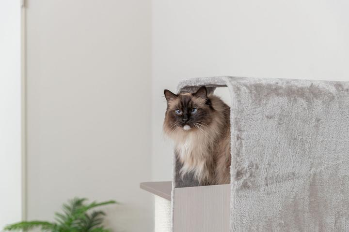 Produktbild tectake 48150 (132 cm, Grau)