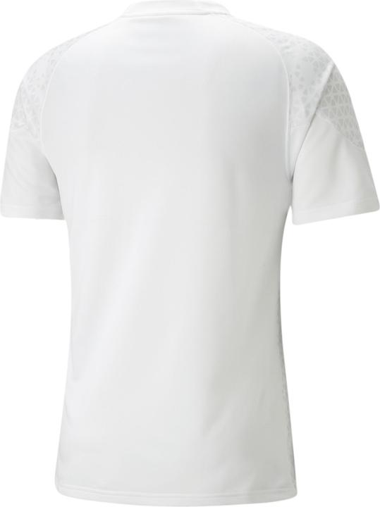 Actual product image Puma teamCUP Training Jersey (M)