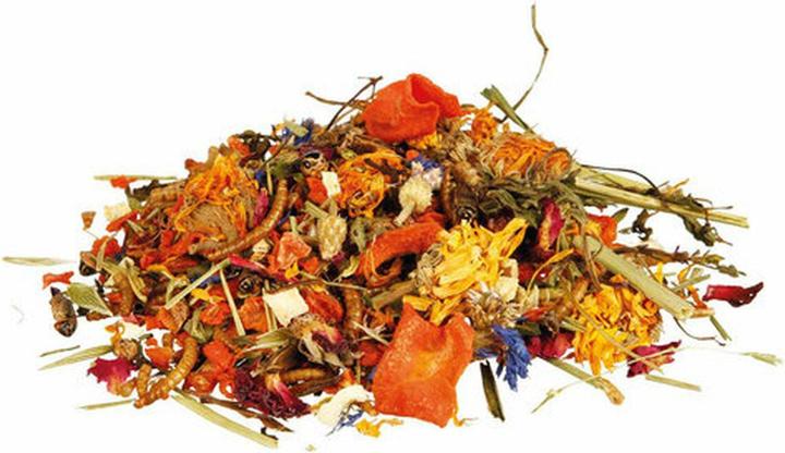 Immagine prodotto Trixie Miscela di cibo naturale per draghi barbuti (1 x, 0.64 kg)