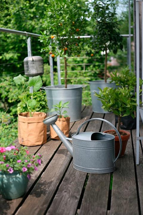 Produktbild Giesskanne (10 l)