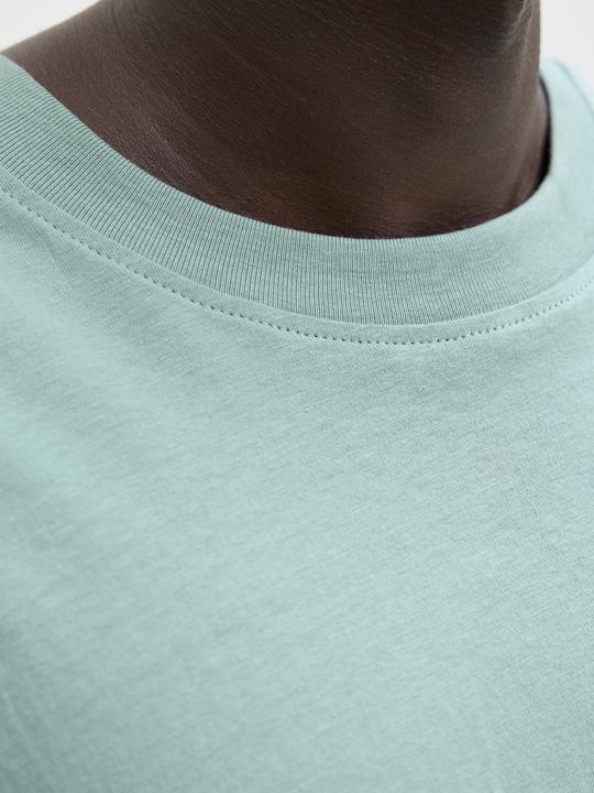 Actual product image Jack & Jones Jjebradley Tee Ss O-Neck Noos (XL)