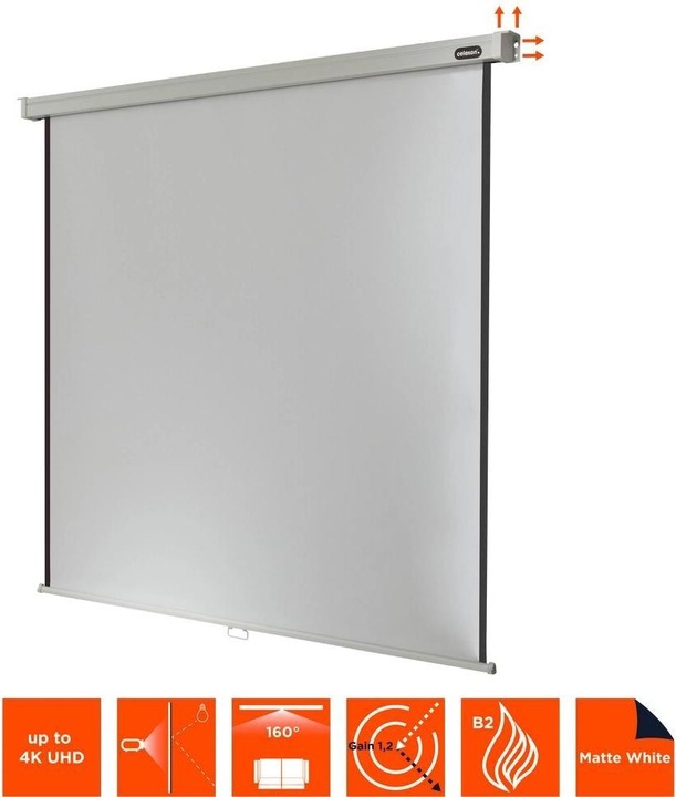 Actual product image Celexon Rollo Professional (112", 1:1)