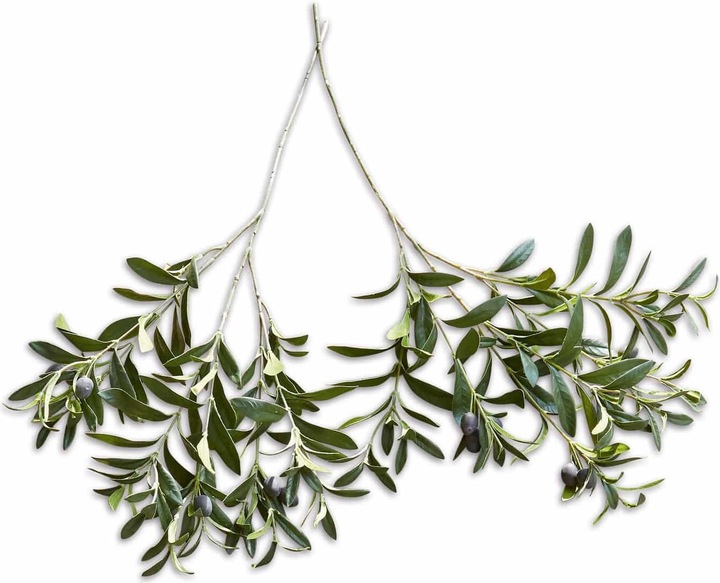 Produktbild Loberon Deko-olivenzweig 2er Set Olives (86 cm)