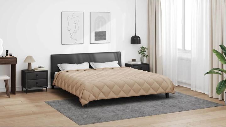 Image du produit vidaXL Winterbettdecke (220 x 200 cm)