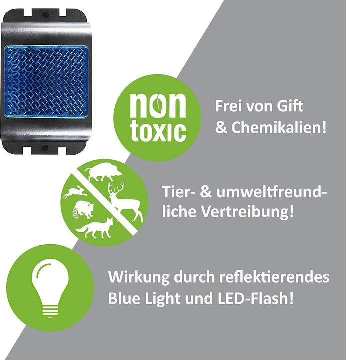 Actual product image Colibri Wildlife Diver