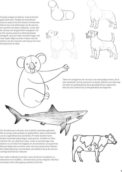 Actual product image Learn to draw animals step by step