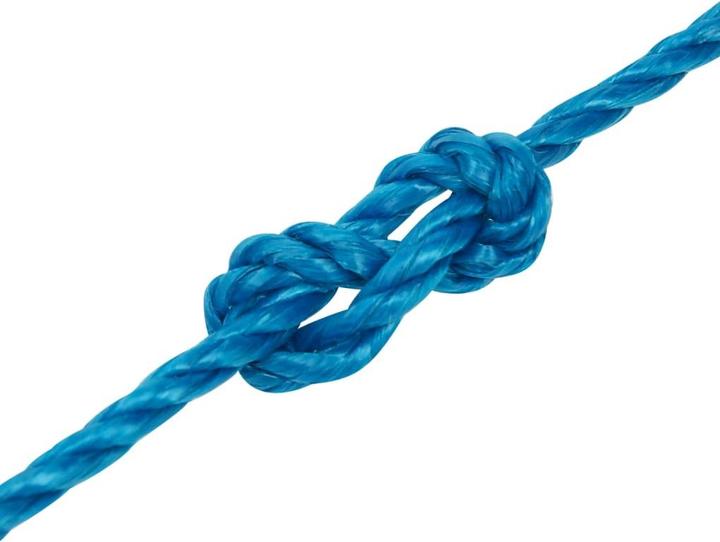 Immagine prodotto vidaXL Seil (25 m)