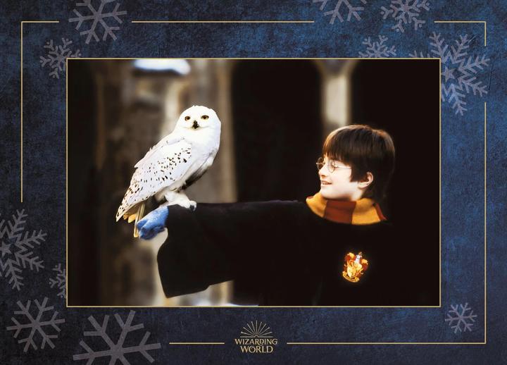 Produktbild Panini Aus den Filmen zu Harry Potter: Hedwig