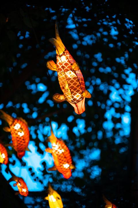 Produktbild TTArtisan Festbrennweite APS-C 50 mm F0.95 – MFT (Micro Four Thirds, APS-C / DX)