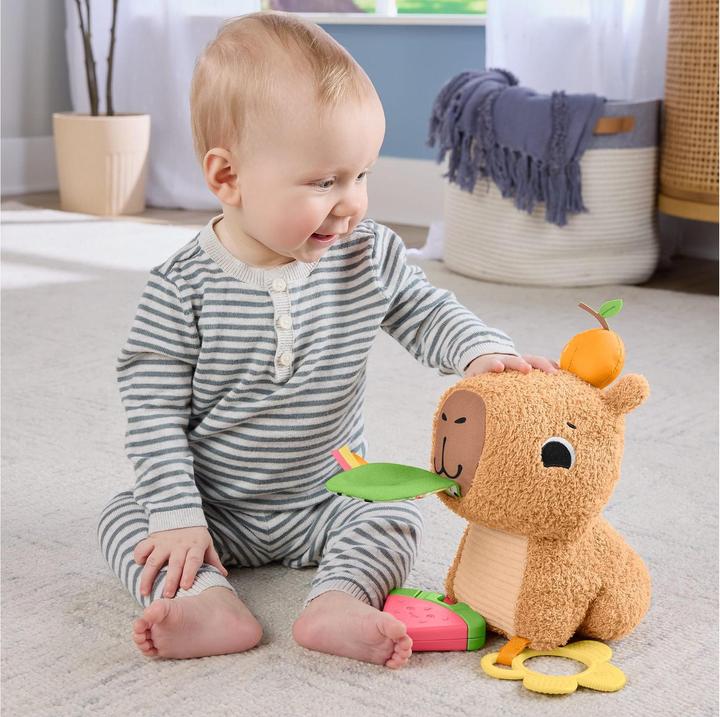 Produktbild Fisher-Price Kuschel-Capybara (23.50 cm)
