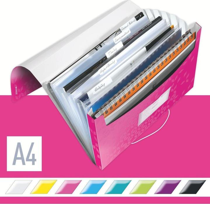Immagine prodotto Leitz WOW - Cartelle di progetto (A4, 1x)