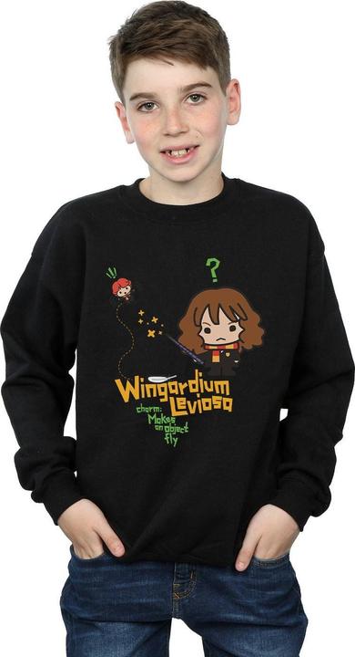 Produktbild Wingardium Leviosa Sweatshirt Jungen (128)
