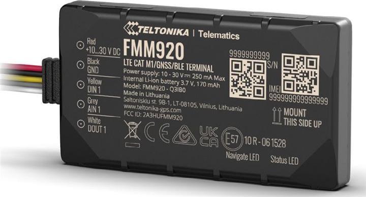 Immagine prodotto Teltonika Telematica FMM920