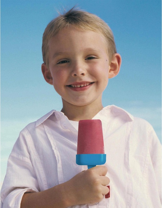 Actual product image Ibili Ice cream mould set of 4