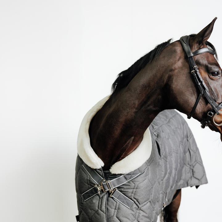 Immagine prodotto Fouganza Pelle di cavallo/pony Snaffle