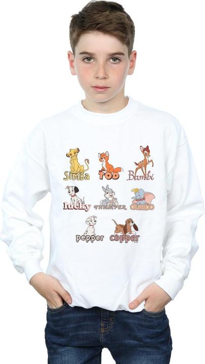 Produktbild Disney Little Friends Animals Sweatshirt Jungen (140, 146)
