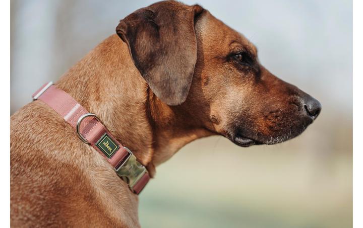 Produktbild Hunter Halsband Inari Alu-Strong, M, Pastellrot (M, Hund, Hundesport)