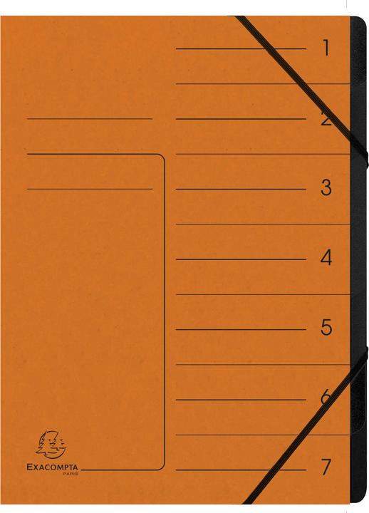 Actual product image Exacompta Stapled file folders (A4, 1x)