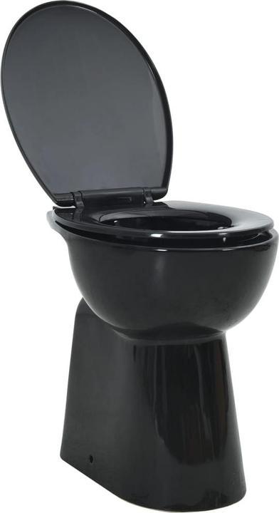 Actual product image vidaXL Toilette