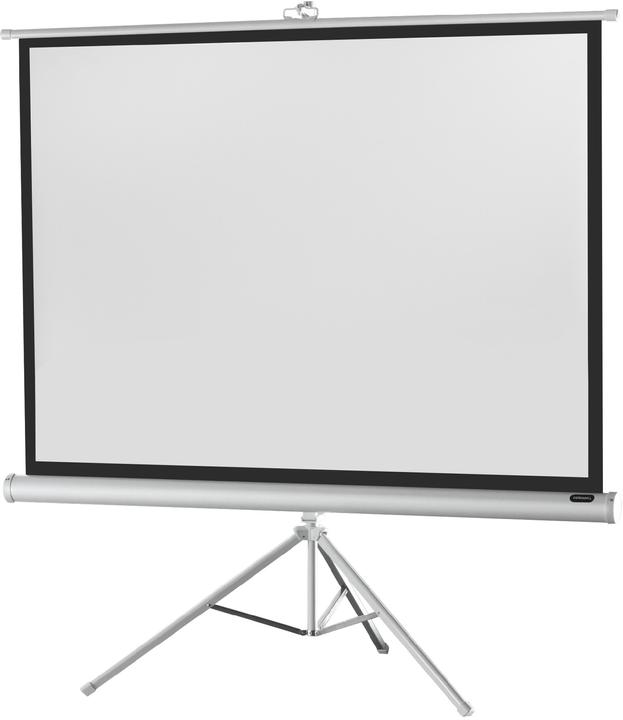 Produktbild Celexon Economy tripod screen - Projektionsbildschirm mit Stativ - 166 cm (66") (65.35", 4:3)