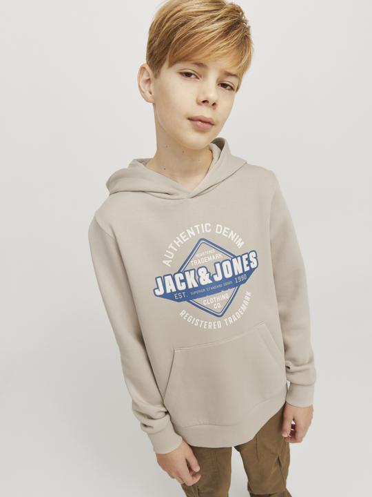 Immagine prodotto Jack & Jones JJELOGO SWEAT HOOD 2 COL 24/25 NOOS JNR (128)