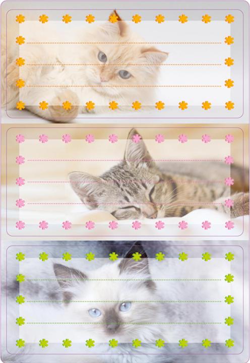 Produktbild HERMA Buchetiketten