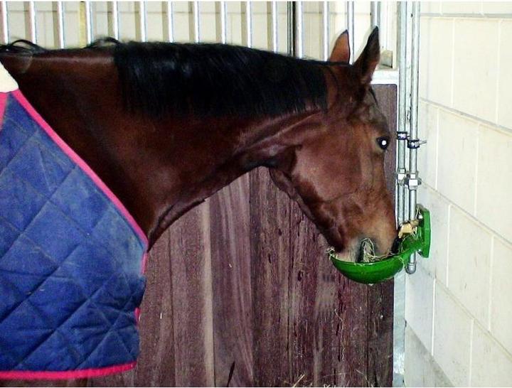 Image du produit Suevia Drinkbak (Kunststof / 1/2 Messing) - Model 12 P