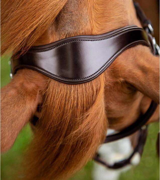 Produktbild Premier Equine Glorioso Zaum