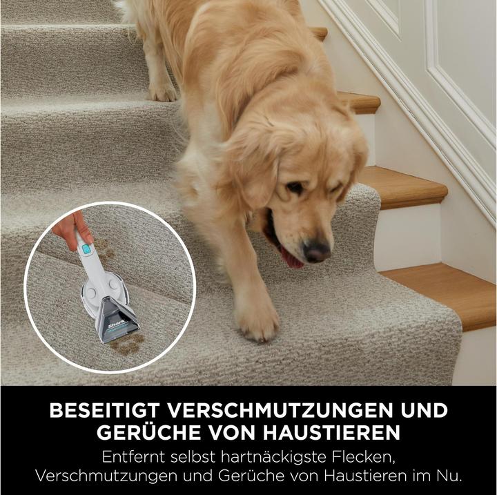 Immagine prodotto Shark StainStriker