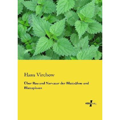 Über Bau und Nervatur der Blattzähne und Blattspitzen, Fachbücher von Hans Virchow