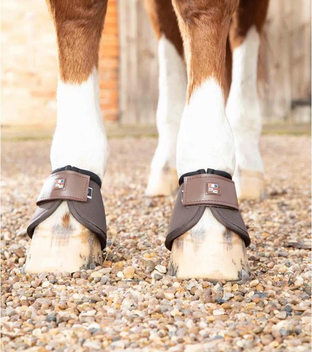 Produktbild Premier Equine Ballistic (S)