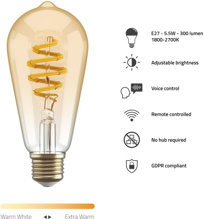 Actual product image Hombli Filament Bulb CCT E27 ST64 (E27, 5.50 W, 300 lm, 1 x, G)