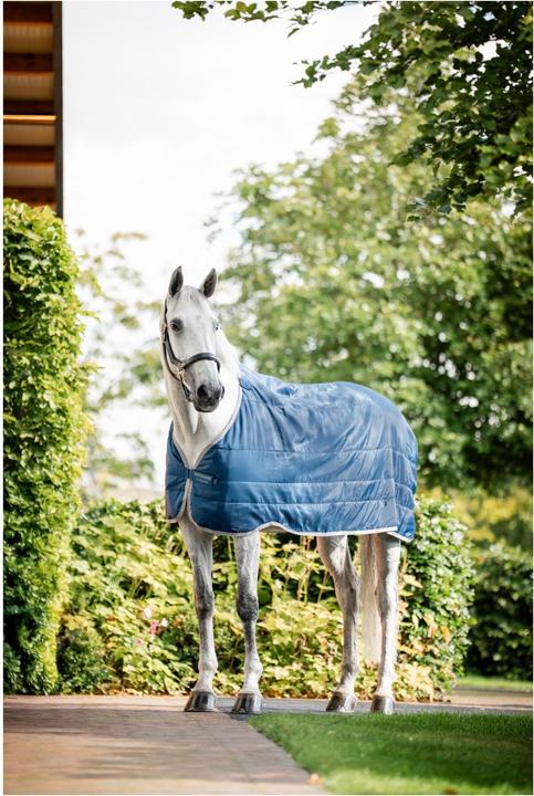 Actual product image Horseware Ionic Therapy Liner 50g (145 cm)