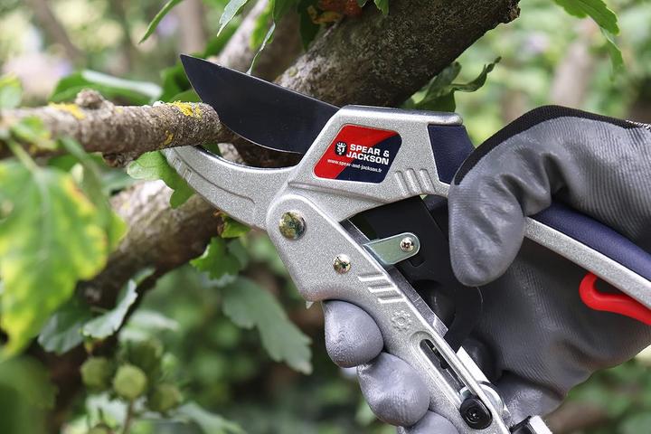 Produktbild Spear & Jackson Gartenschere mit Zahnstange