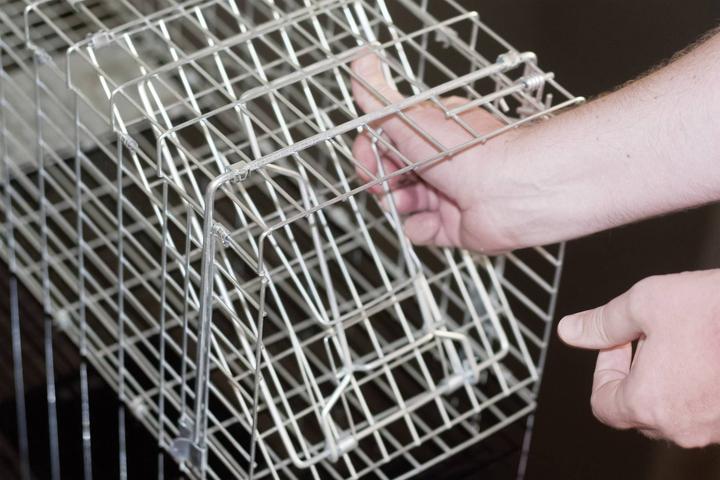 Actual product image Gardigo Marten live trap