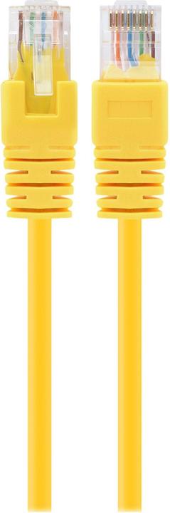 Actual product image Gembird Patch cable (UTP, CAT5e, 2 m)