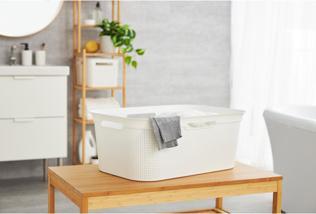 Produktbild Rotho Brisen (41 l)