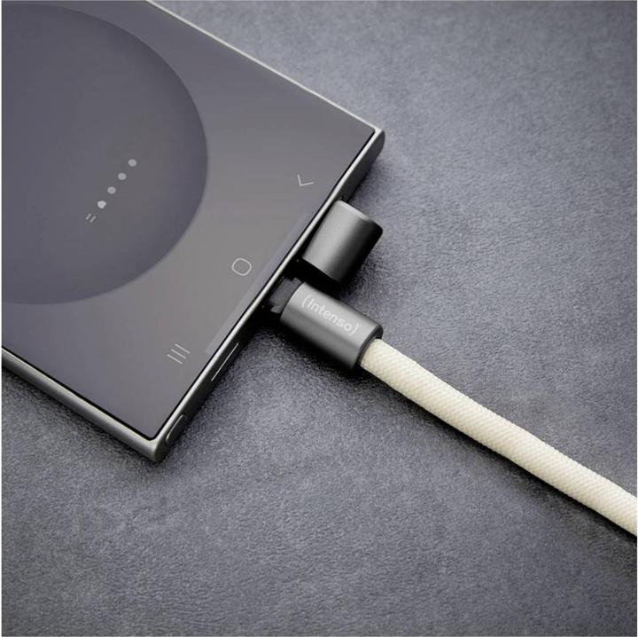Produktbild Intenso Handykette als Lade- + Datenkabel USB-C bis 1,65m beige (1.65 m, USB 2.0, 60 W)