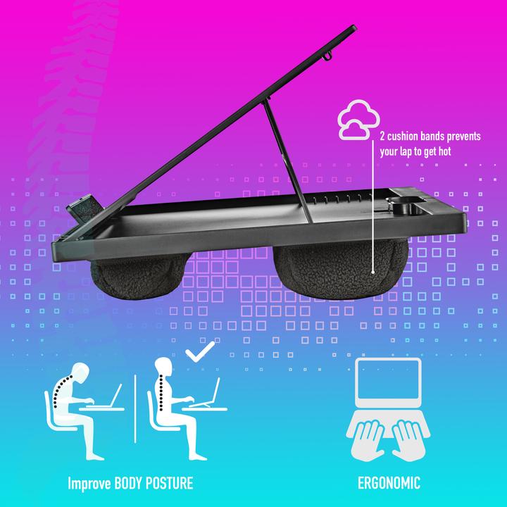 Produktbild NGS Lapnest