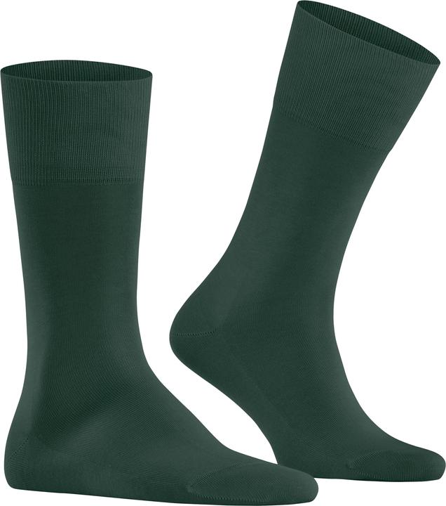 Vert chasseur